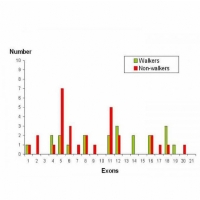 Genetics of CDKL5